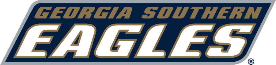 Georgia Southern Eagles 2016-Pres Wordmark Logo diy iron on heat transfer